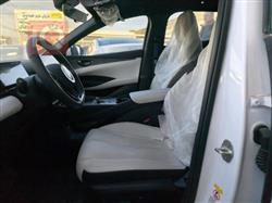 بي واي دي سيل 06 DM-i